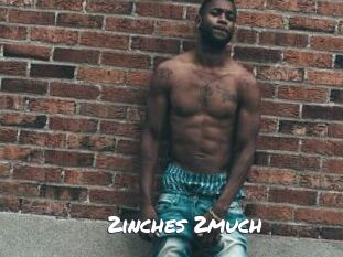 2inches_2much