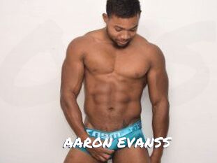 AARON_EVANSS Ochranne Siete