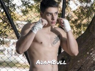 AdamBull
