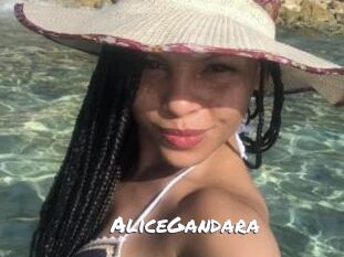AliceGandara