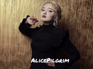 AlicePilgrim Ochranne Siete