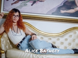 Alice_Bathoty Ochranne Siete