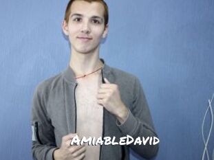 AmiableDavid