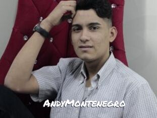 AndyMontenegro