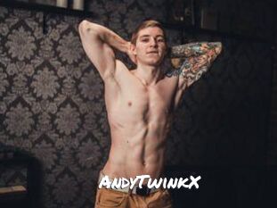 AndyTwinkX