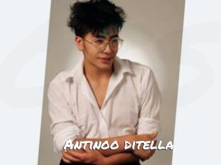 Antinoo_ditella