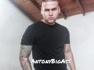 AntonyBigAss