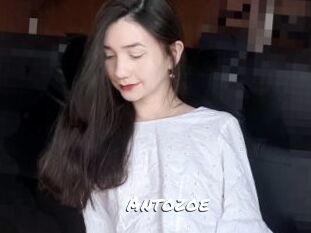 Antozoe