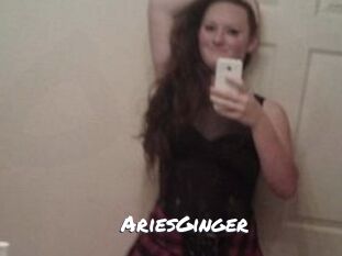 AriesGinger