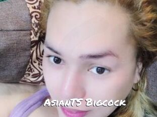 AsianTS_Bigcock