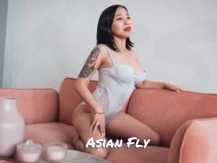 Asian_Fly