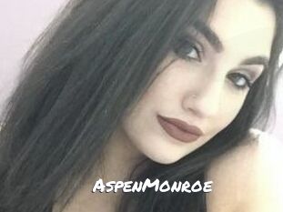 AspenMonroe Ochranne Siete