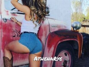 AthenaRye Ochranne Siete