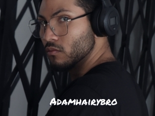 adamhairybro Ochranne Siete