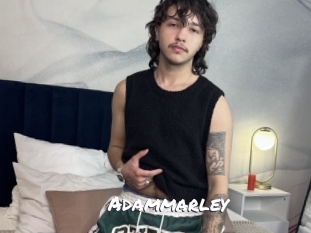 adammarley Ochranne Siete