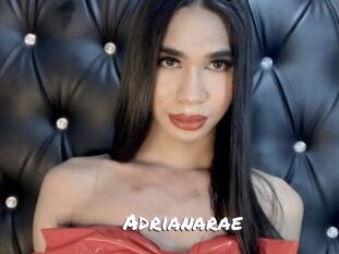 Adrianarae