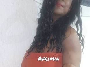 afrimia Ochranne Siete