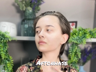 Aftonhase