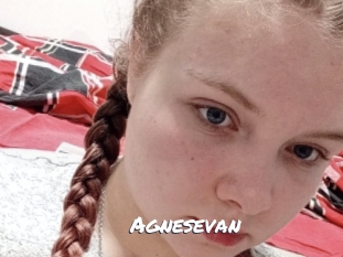 Agnesevan