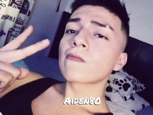 aiden80 Ochranne Siete