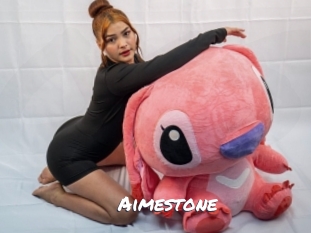 aimestone Ochranne Siete