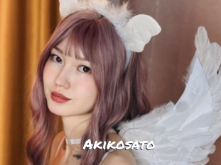 akikosato Ochranne Siete