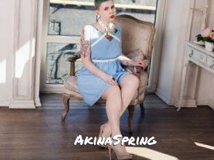 akinaSpring Ochranne Siete