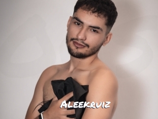 aleekruiz Ochranne Siete