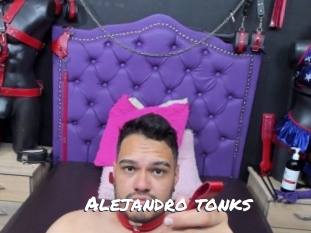 alejandro_tonks Ochranne Siete