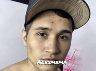 alesmema Ochranne Siete
