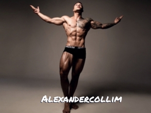 alexandercollim Ochranne Siete