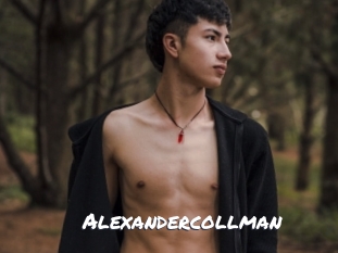alexandercollman Ochranne Siete
