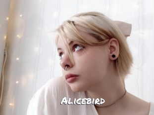 Alicebird