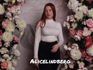 alicelindberg Ochranne Siete