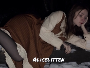 alicelitten Ochranne Siete
