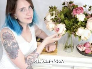 alicepixiex Ochranne Siete