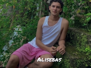 alisebas Ochranne Siete