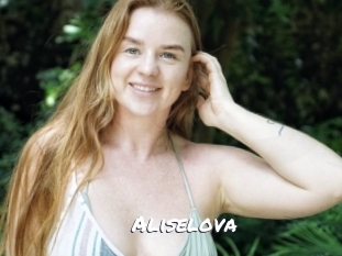 aliselova Ochranne Siete