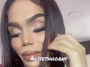 alisethhorny Ochranne Siete