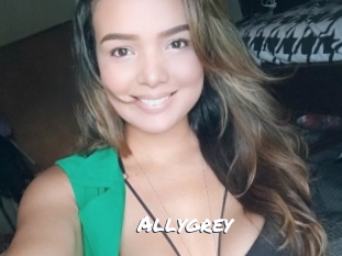 allygrey Ochranne Siete