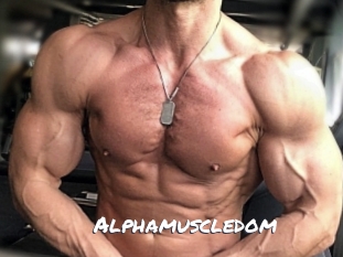alphamuscledom Ochranne Siete