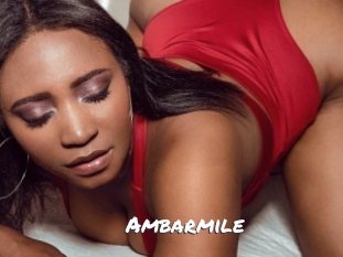 ambarmile Ochranne Siete