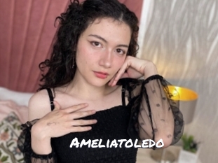 ameliatoledo Ochranne Siete