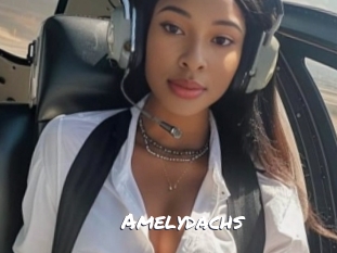 Amelydachs