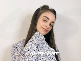 amityarnet Ochranne Siete