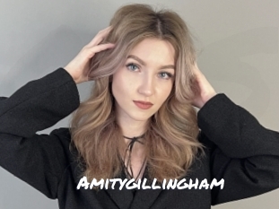 amitygillingham Ochranne Siete