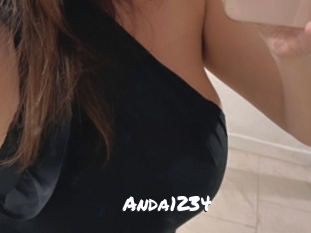 Anda1234