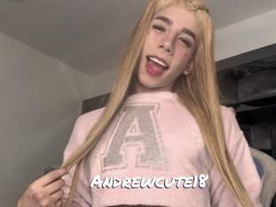 andrewcute18 Ochranne Siete