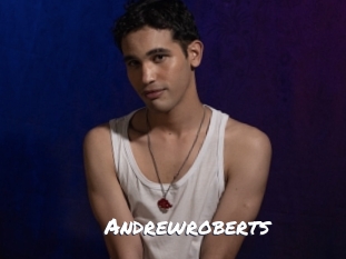 andrewroberts Ochranne Siete