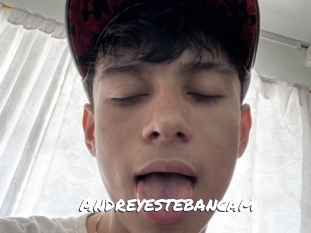Andreyestebancam